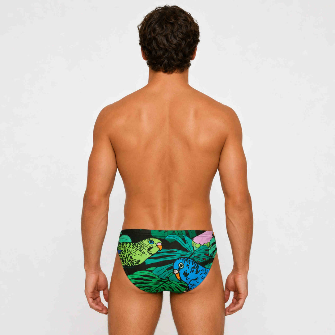 Budgie Smugglers Design Briefs